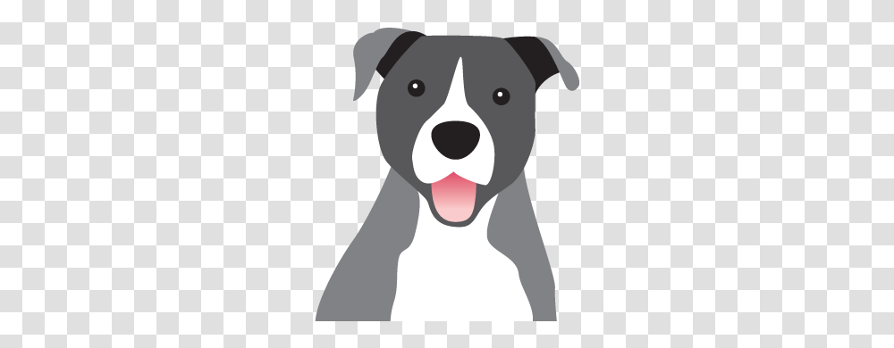 Dog Yawns, Boston Bull, Bulldog, Pet, Canine Transparent Png