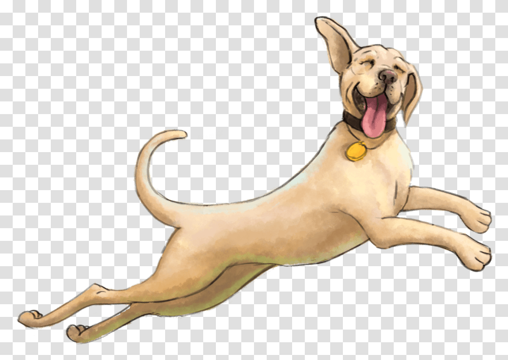 Dog Yawns, Pet, Animal, Canine, Mammal Transparent Png