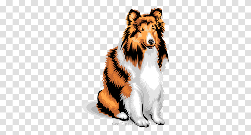 Dogcollie Royalty Free Vector Clip Art Illustration, Mammal, Animal, Bird, Tiger Transparent Png