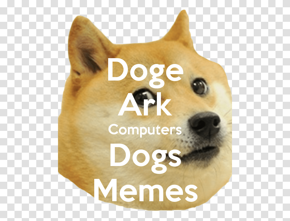 Doge Ark Computers Dogs Memes Foxhound, Snout, Mammal, Animal, Pet Transparent Png