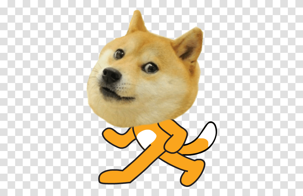 Doge, Canine, Mammal, Animal, Pet Transparent Png