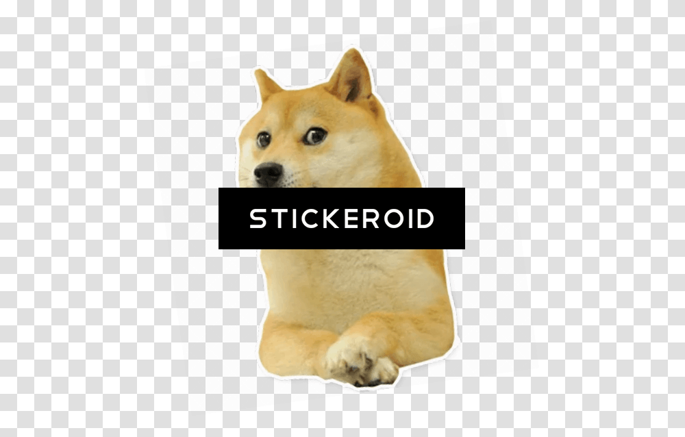 Doge Doge Big Bro, Mammal, Animal, Pet, Canine Transparent Png