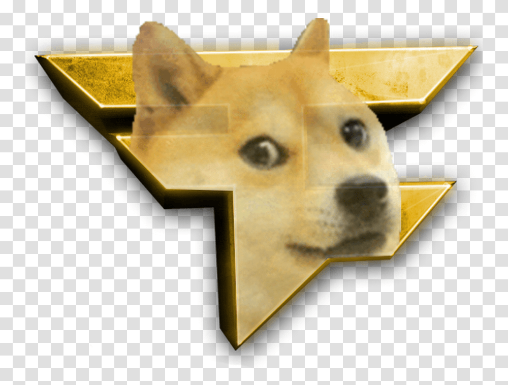 Doge Faze Doge, Star Symbol, Pet, Animal Transparent Png