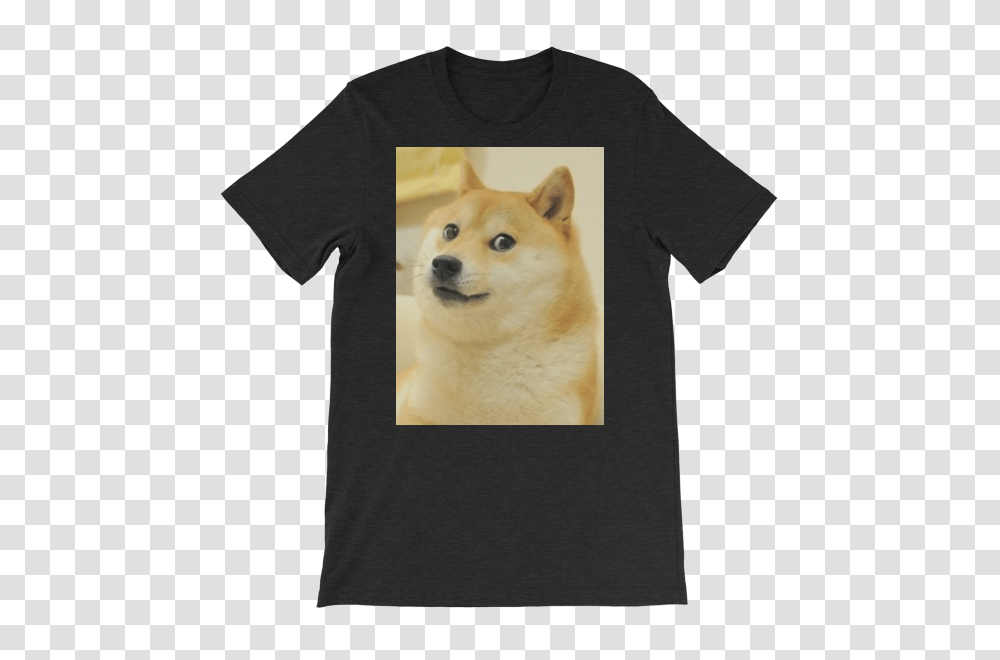 Doge Full Cryptoswag, Pet, Canine, Animal Transparent Png