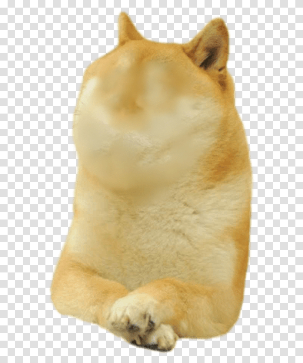 Doge Meme, Animal, Beak, Bird, Mammal Transparent Png