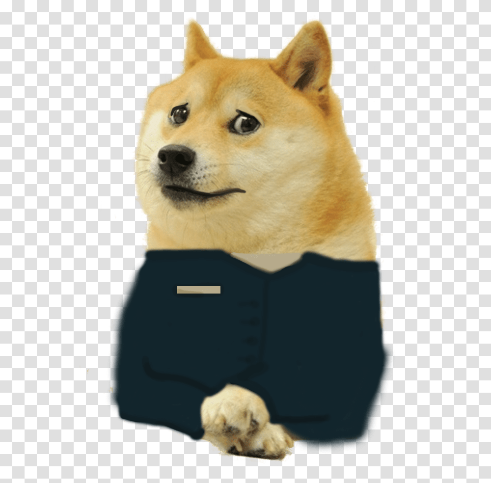 Doge Meme Background, Pet, Canine, Animal, Mammal Transparent Png