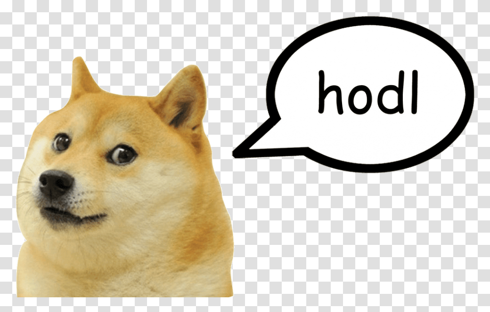 Doge Meme Clipart Download Doge Ben And, Pet, Canine, Animal, Mammal Transparent Png