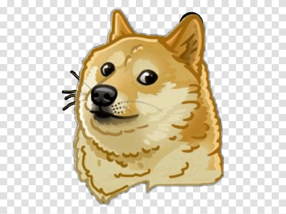 Doge Meme Dog Doggo Funny Sticker Momo Mlg Pets Dog Meme, Birthday Cake, Dessert, Food, Mammal Transparent Png