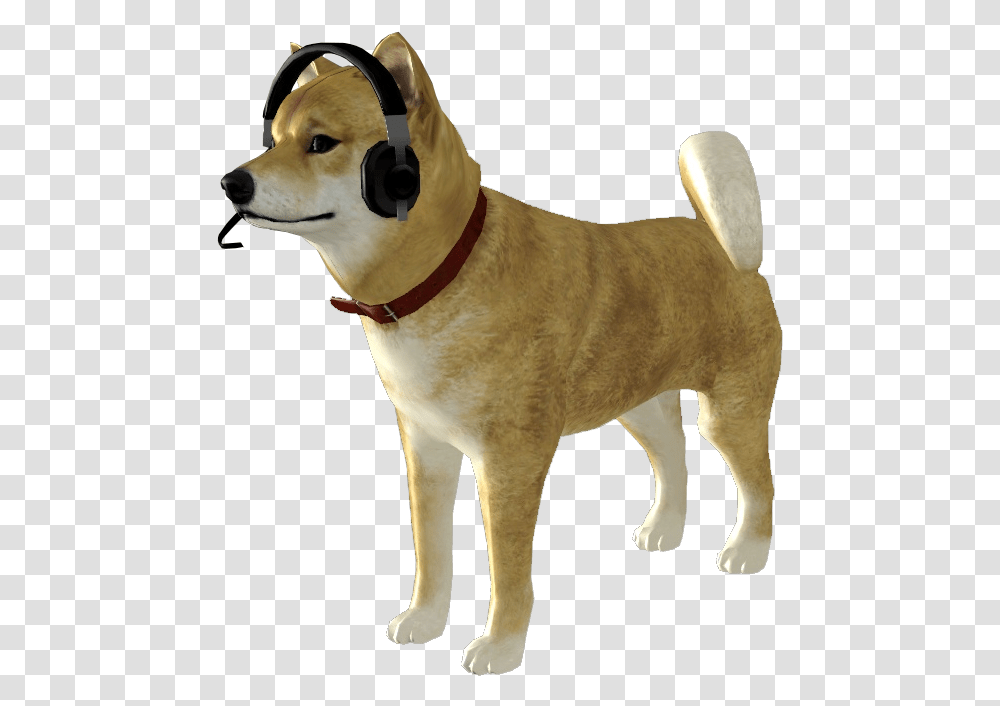 Doge, Strap, Pet, Canine, Animal Transparent Png