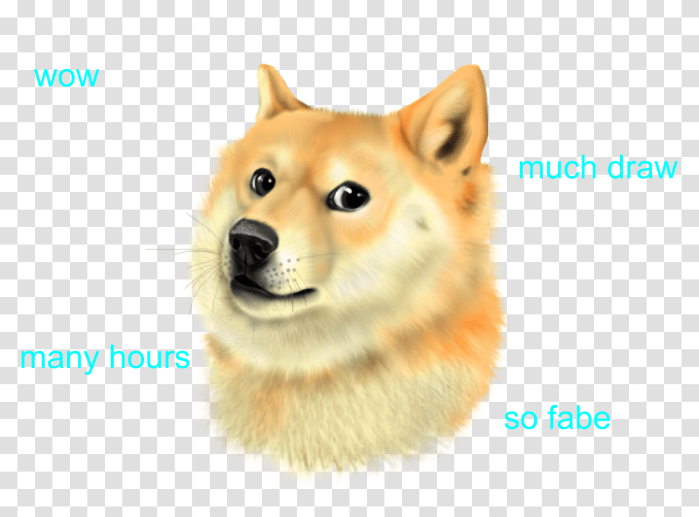 Doge Such Wow, Canine, Mammal, Animal, Pet Transparent Png