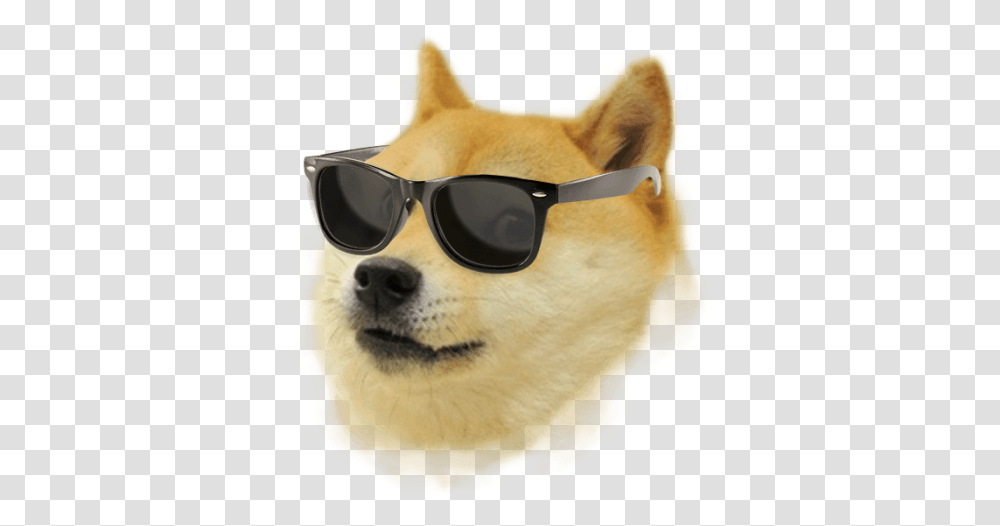 Doge Sunglasses, Accessories, Accessory, Goggles Transparent Png