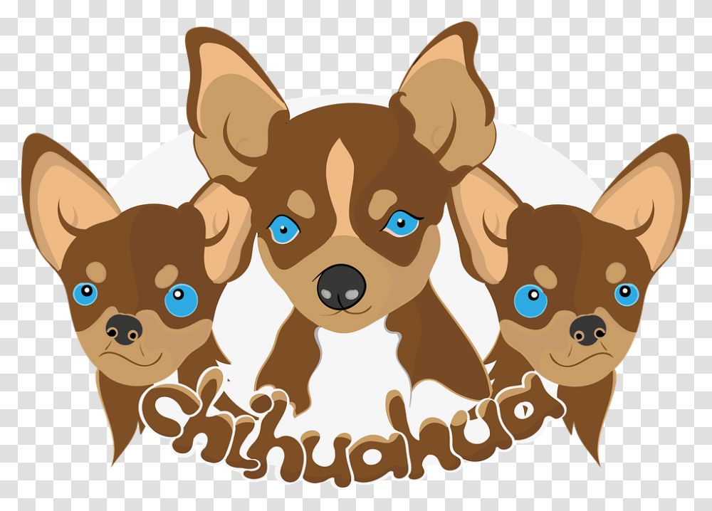 Doggies Chihuahua Dogs, Puppy, Pet, Canine, Animal Transparent Png
