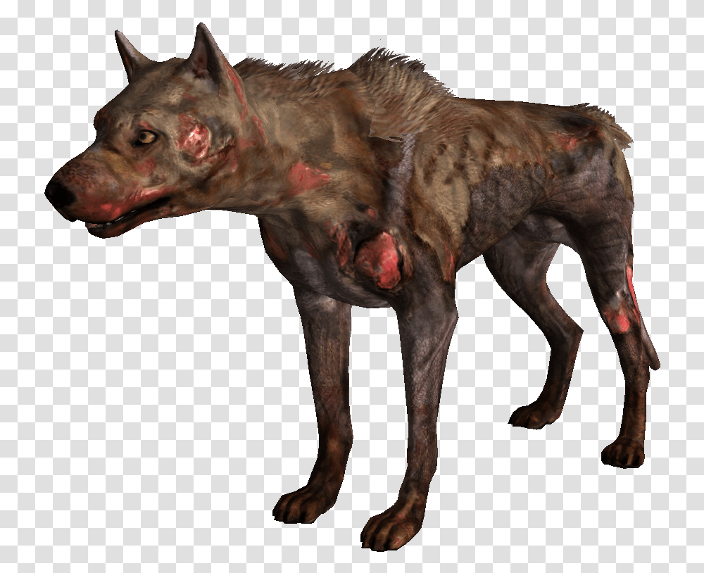 Dogmeat, Pet, Canine, Animal, Mammal Transparent Png