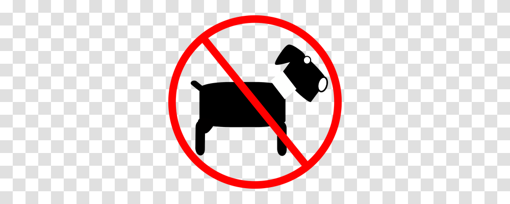 Dogs Animals, Sign, Light Transparent Png