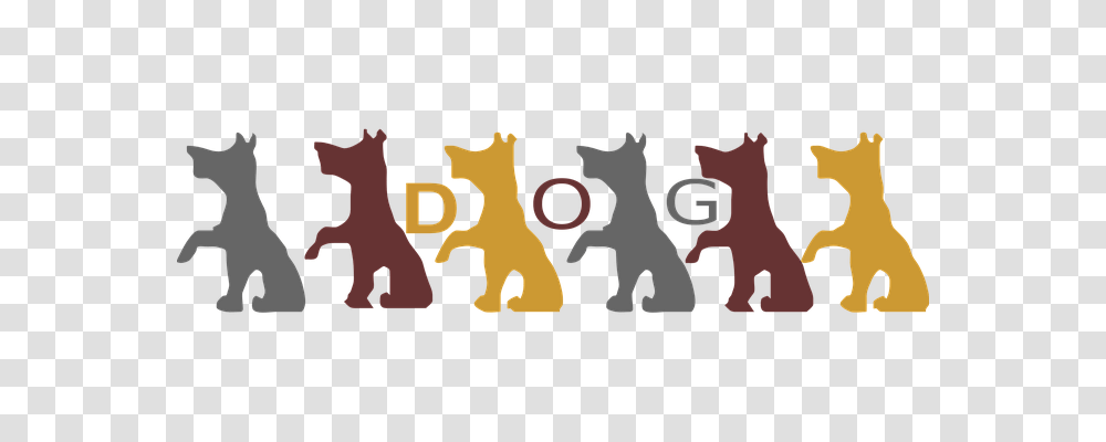 Dogs Animals, Leisure Activities, Poster Transparent Png