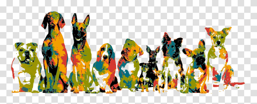 Dogs, Animal, Mammal, Collage, Poster Transparent Png