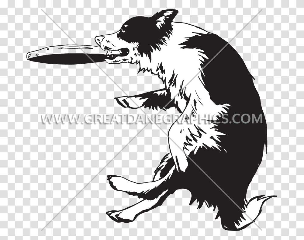 Dogs Playing Clipart Border Collie Frisbee Clipart, Mammal, Animal, Bird, Person Transparent Png