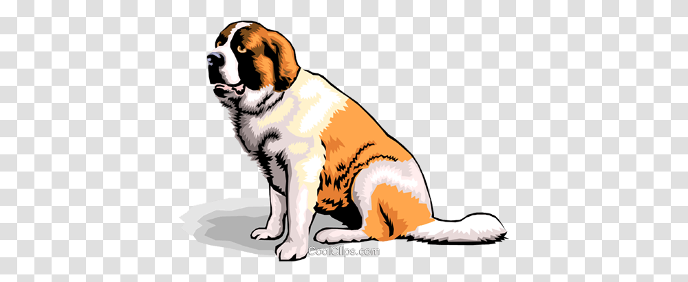 Dogs Royalty Free Vector Clip Art Illustration, Saint Bernard, Pet, Canine, Animal Transparent Png