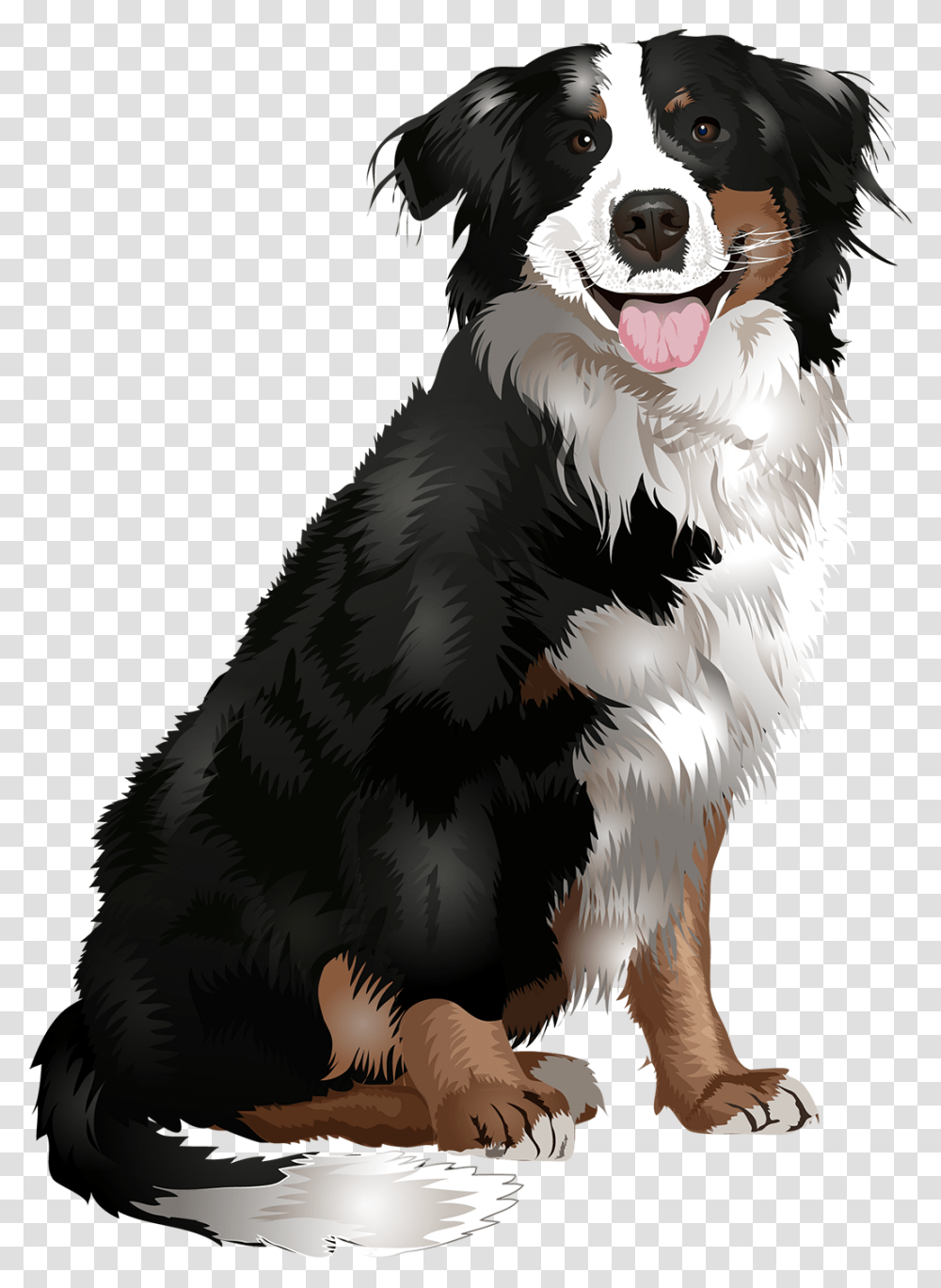 Dogs Vector Animal Bernese Mountain Dog Vector, Pet, Canine, Mammal, Chicken Transparent Png