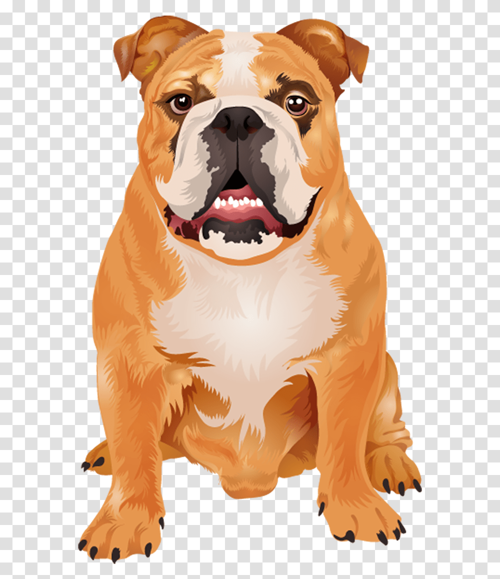 Dogs Vector Boxer Boxer Dog Vector, Pet, Animal, Canine, Mammal Transparent Png
