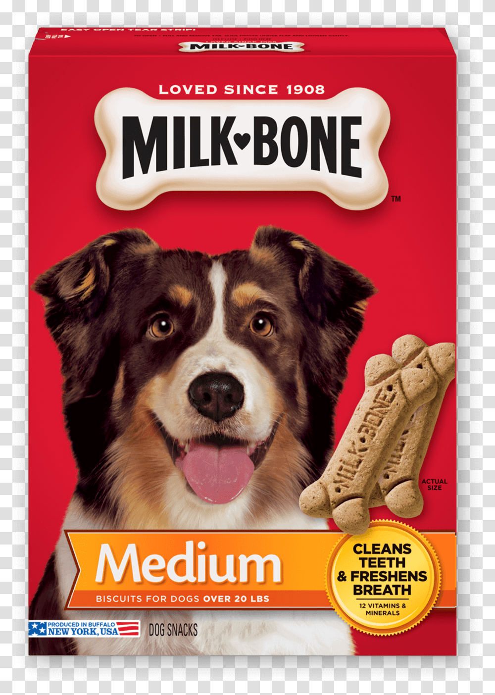 Dogs Vector Dog Bone Milk Bone Dog Biscuits, Advertisement, Poster, Flyer, Paper Transparent Png