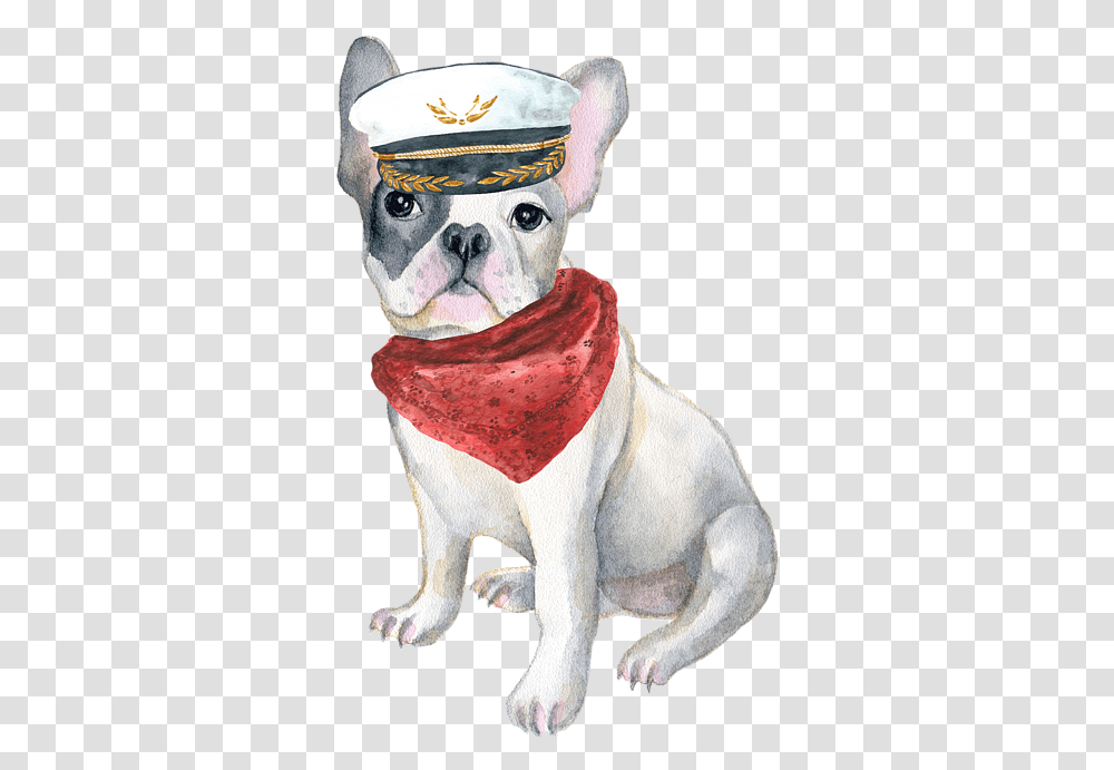 Dogs With Hats Artwork, Apparel, Canine, Mammal Transparent Png