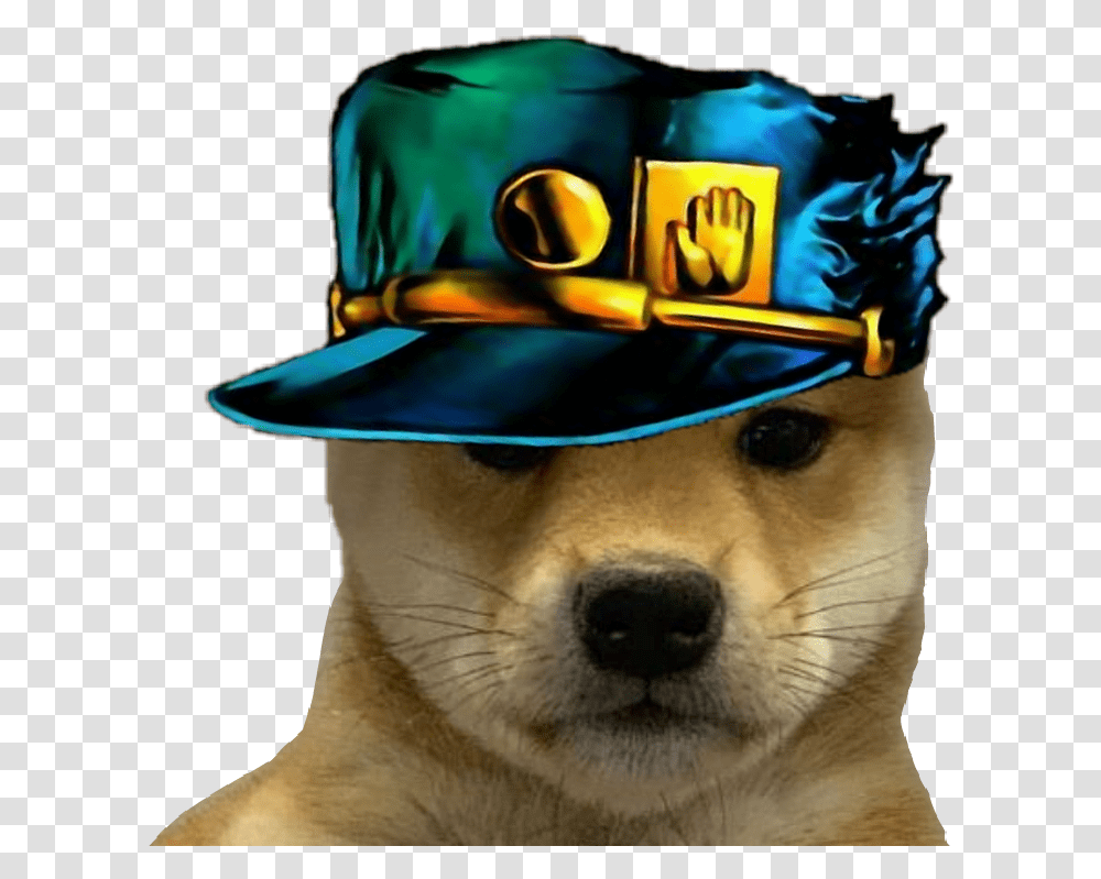 Dogwifhat Jotaro Jojo Sticker By Guy Pancake Doge, Clothing, Apparel, Baseball Cap, Person Transparent Png