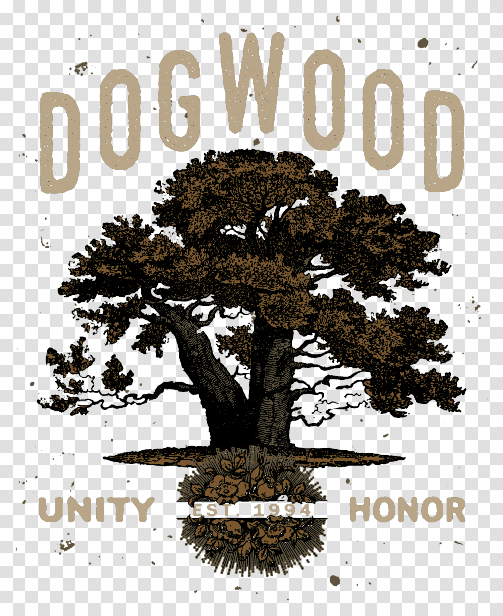 Dogwood Announce New Song Stream On December 24th At Dogwood Band T Shirt, Novel, Book, Poster Transparent Png