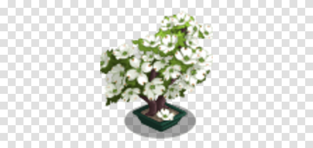 Dogwood Bonsai Tree Farmville Wiki Fandom Artificial Flower, Plant, Flower Arrangement, Flower Bouquet, Leaf Transparent Png