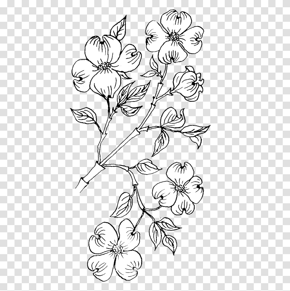 Dogwood Flower Coloring, Floral Design, Pattern, Graphics, Art Transparent Png