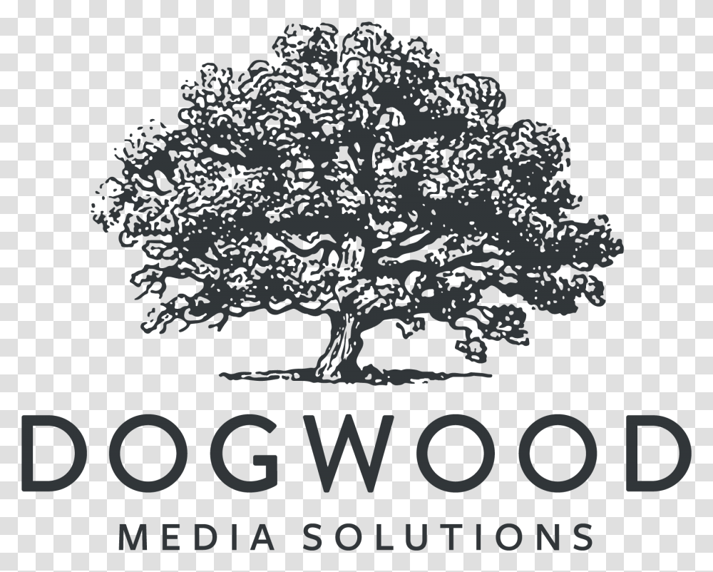 Dogwood Media Solutions, Tree, Plant, Stencil Transparent Png