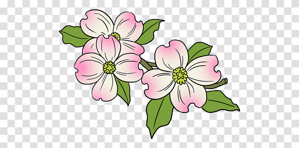 Dogwood Tree Easy Of Drawing Flower, Plant, Floral Design, Pattern, Graphics Transparent Png