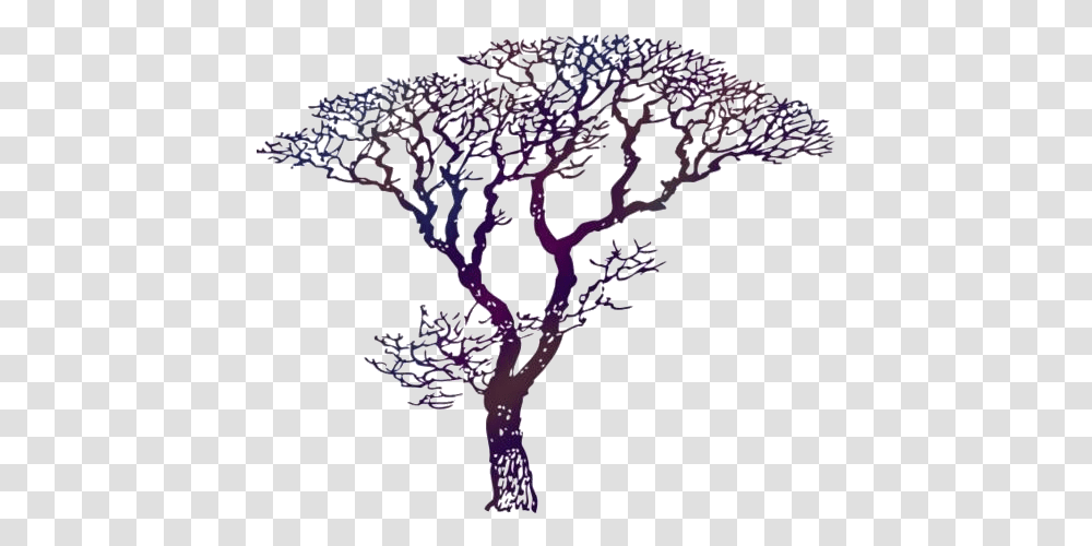 Dogwood Tree Images Draw A Dogwood Tree, Landscape, Outdoors, Nature, Plant Transparent Png