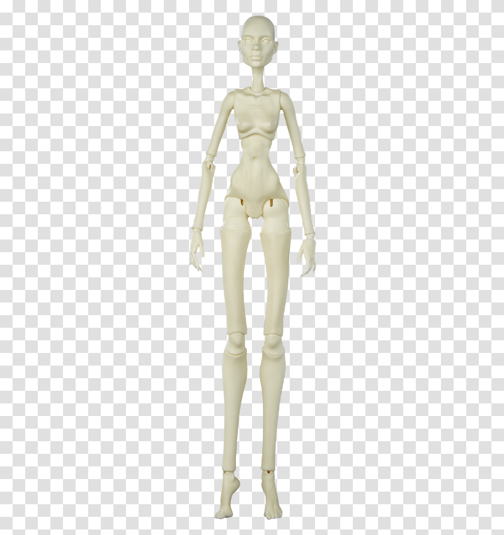 Doll, Toy, Skeleton, Person, Human Transparent Png