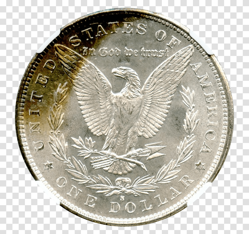 Dollar, Coin, Money, Bird, Animal Transparent Png