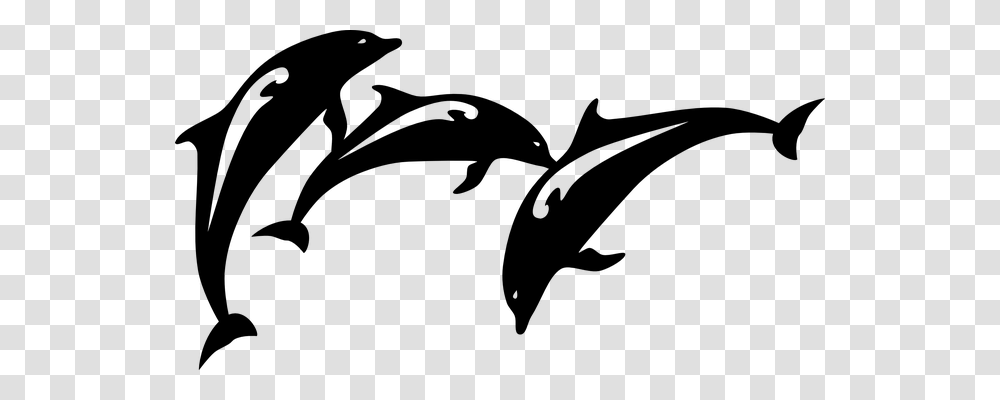Dolphin Animals, Gray, World Of Warcraft Transparent Png