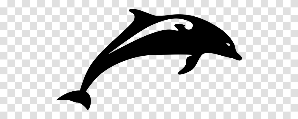 Dolphin Animals, Gray, World Of Warcraft Transparent Png