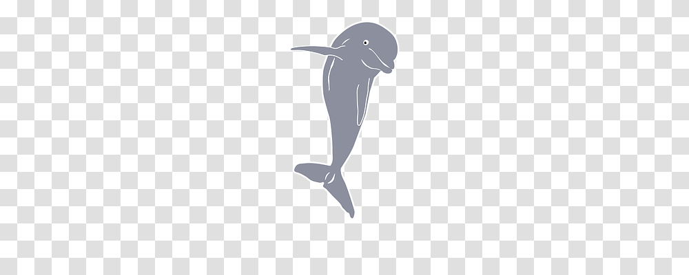 Dolphin Animals, Axe, Tool, Shark Transparent Png
