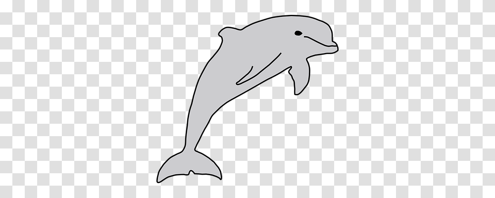 Dolphin Holiday, Axe, Tool, Mammal Transparent Png