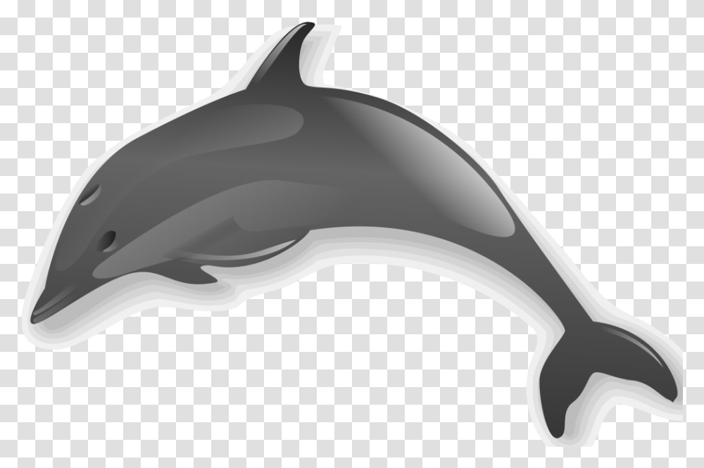 Dolphin 2 Sea Creatures No Background, Animal, Sea Life, Mammal, Blow Dryer Transparent Png