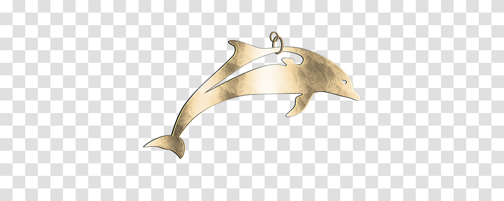 Dolphin Axe, Tool, Accessories, Accessory Transparent Png