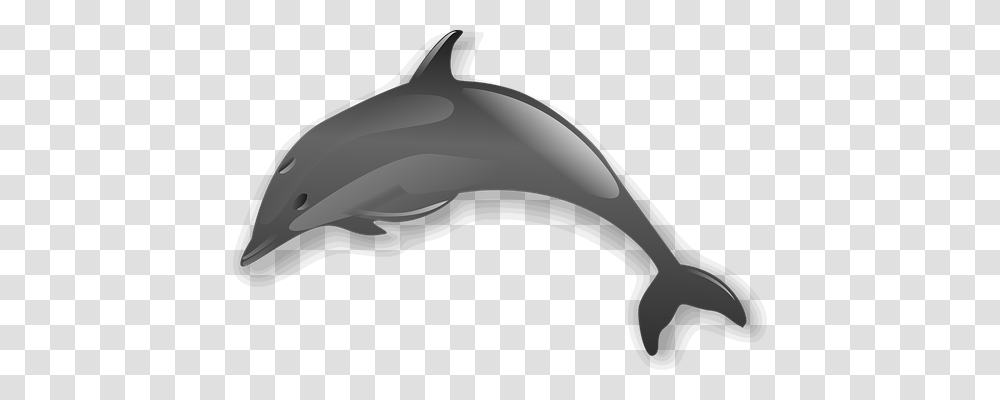 Dolphin Holiday, Sea Life, Animal, Mammal Transparent Png