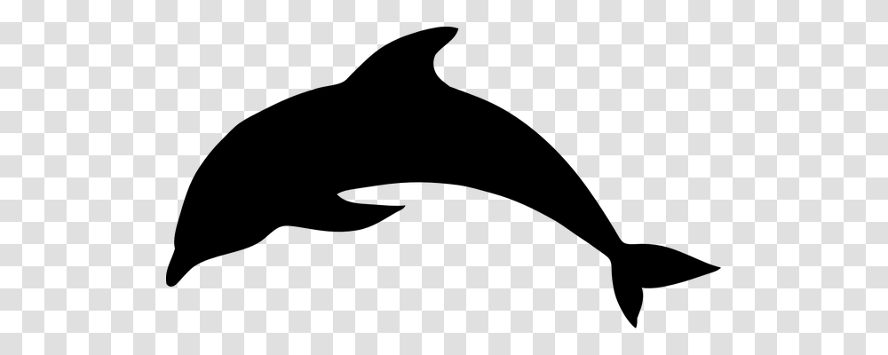 Dolphin Nature, Gray, World Of Warcraft Transparent Png