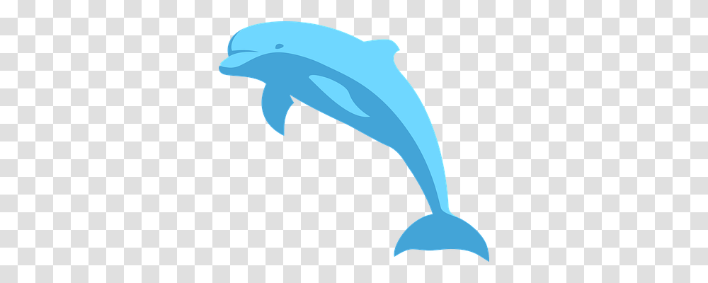 Dolphin Holiday, Axe, Tool, Mammal Transparent Png