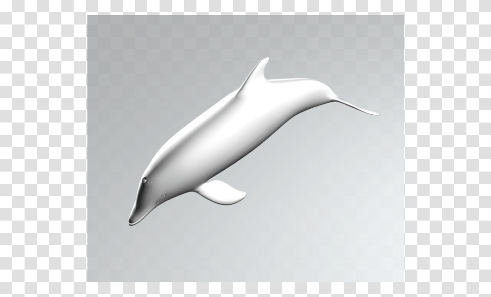 Dolphin 3ds Max Model Common Bottlenose Dolphin, Mammal, Sea Life, Animal, Bird Transparent Png