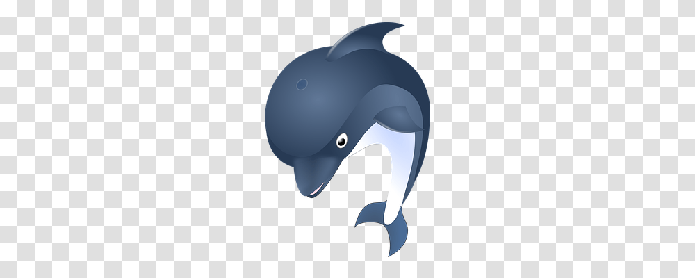 Dolphin Holiday, Apparel, Helmet Transparent Png