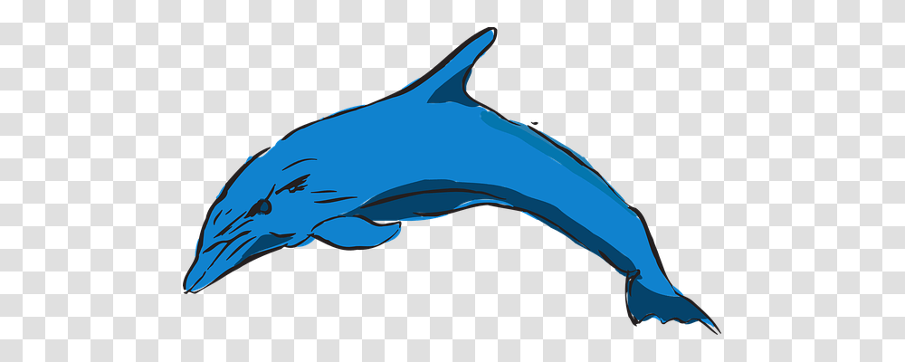 Dolphin Holiday, Sea Life, Animal, Mammal Transparent Png