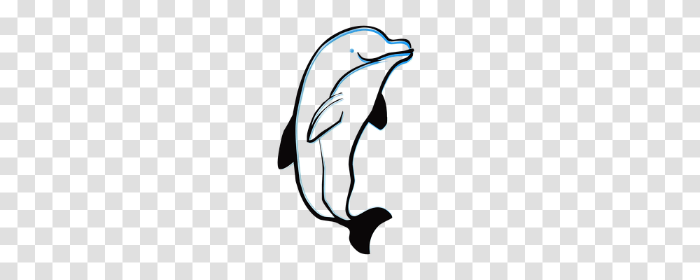 Dolphin Text, Handwriting, Animal Transparent Png