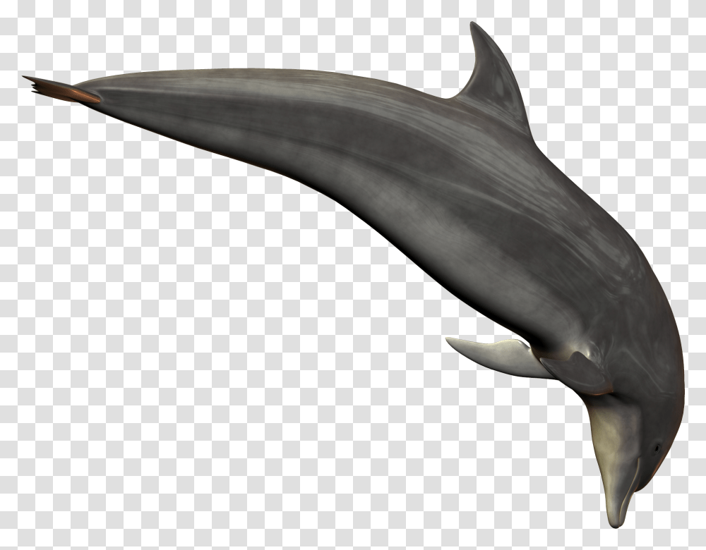 Dolphin, Animals, Axe, Tool, Sea Life Transparent Png