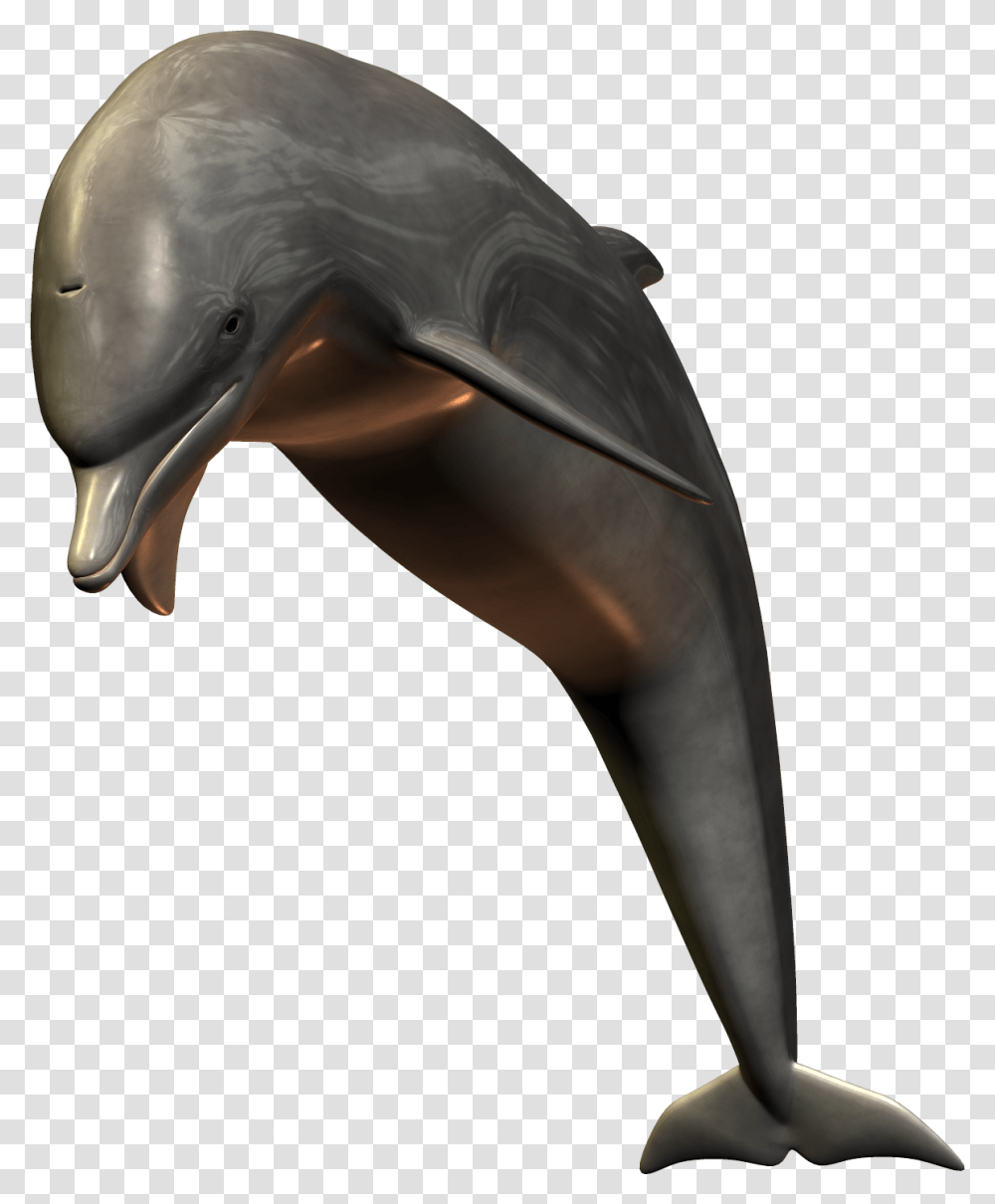 Dolphin, Animals, Helmet, Crash Helmet Transparent Png